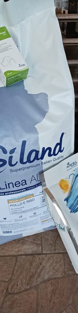 474614469_2008865229594053_7399943301181924553_n