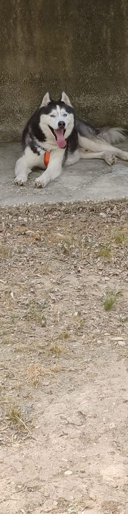 474799305_2008875216259721_6797762212695244265_n