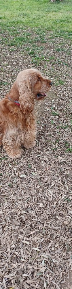 475030902_2008005293013380_6819132292359663933_n