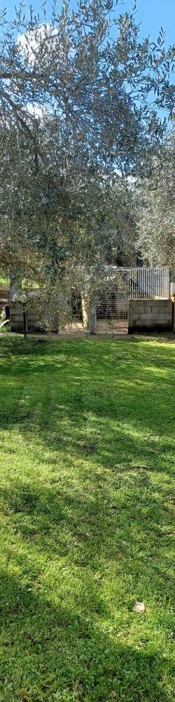 485594904_1198082302321642_5161020959602167501_n